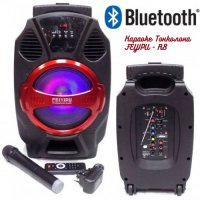 Преносима акумулаторна караоке тонколона FEYIPU R8 с Bluetooth