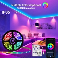 Magic LED лента RGB 24V 65W IP65
