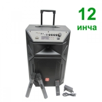12 инча Караоке тонколона с микрофон дървена кутия, блутут, USB, FM тунер