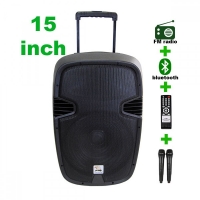 15 инча Активна тонколона тип караоке RMS 100W F15