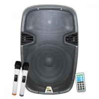 15 инча Активна тонколона тип караоке M23