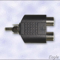 Мъжки чинч на 2 женски чинча